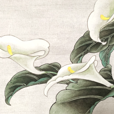 Relax With Chinese Painting - Calla Lily